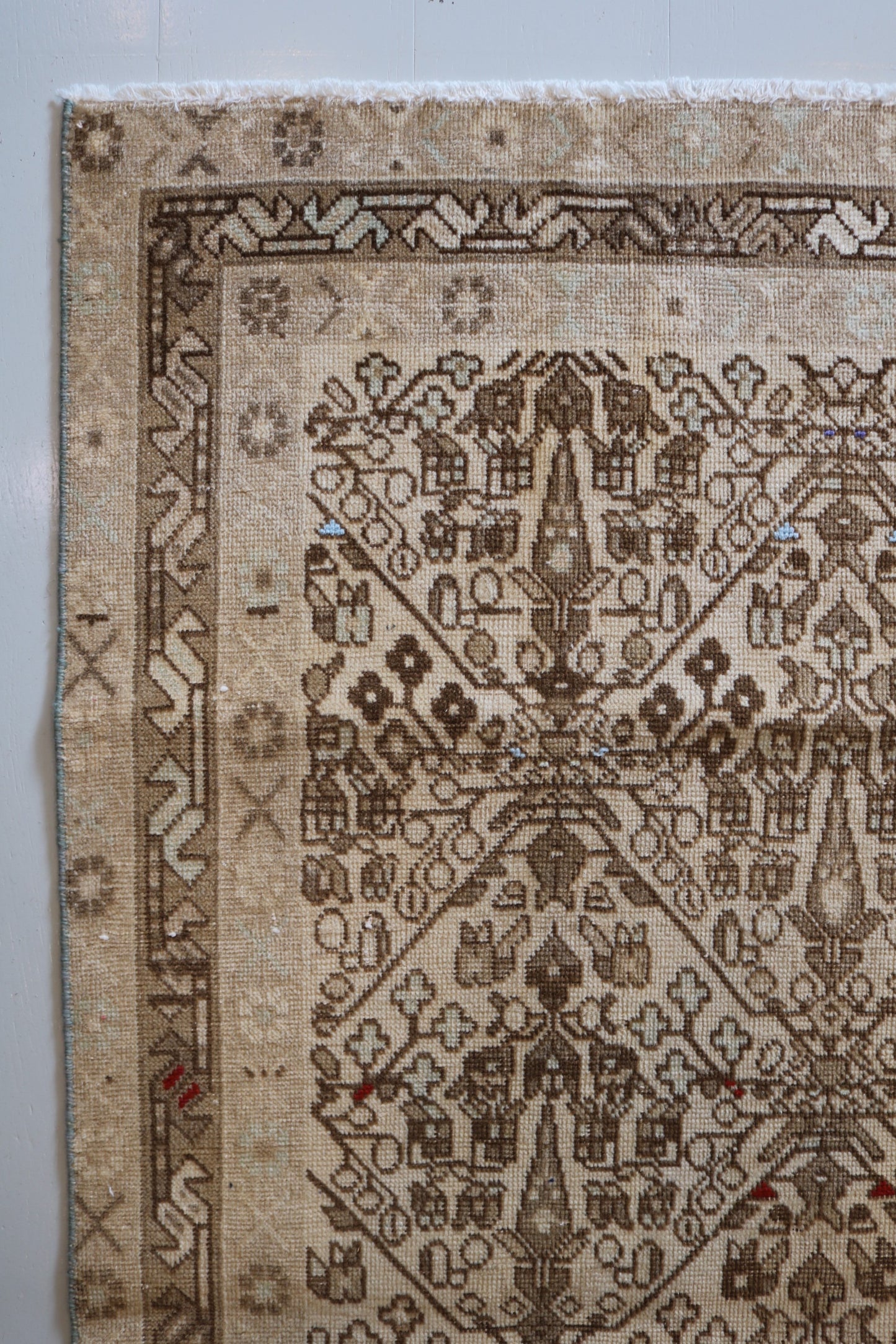 Afshar Rug with muted colours