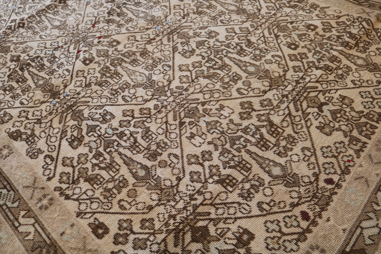 Afshar Rug with muted colours