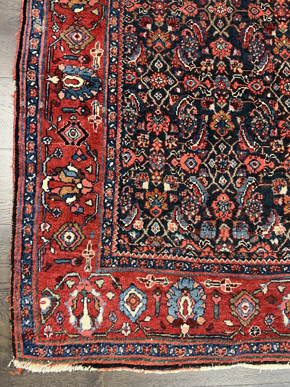 Beautiful old antique decorative Bijar rug - Hakiemie Rug Gallery