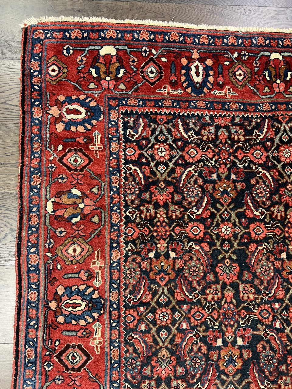 Beautiful old antique decorative Bijar rug - Hakiemie Rug Gallery