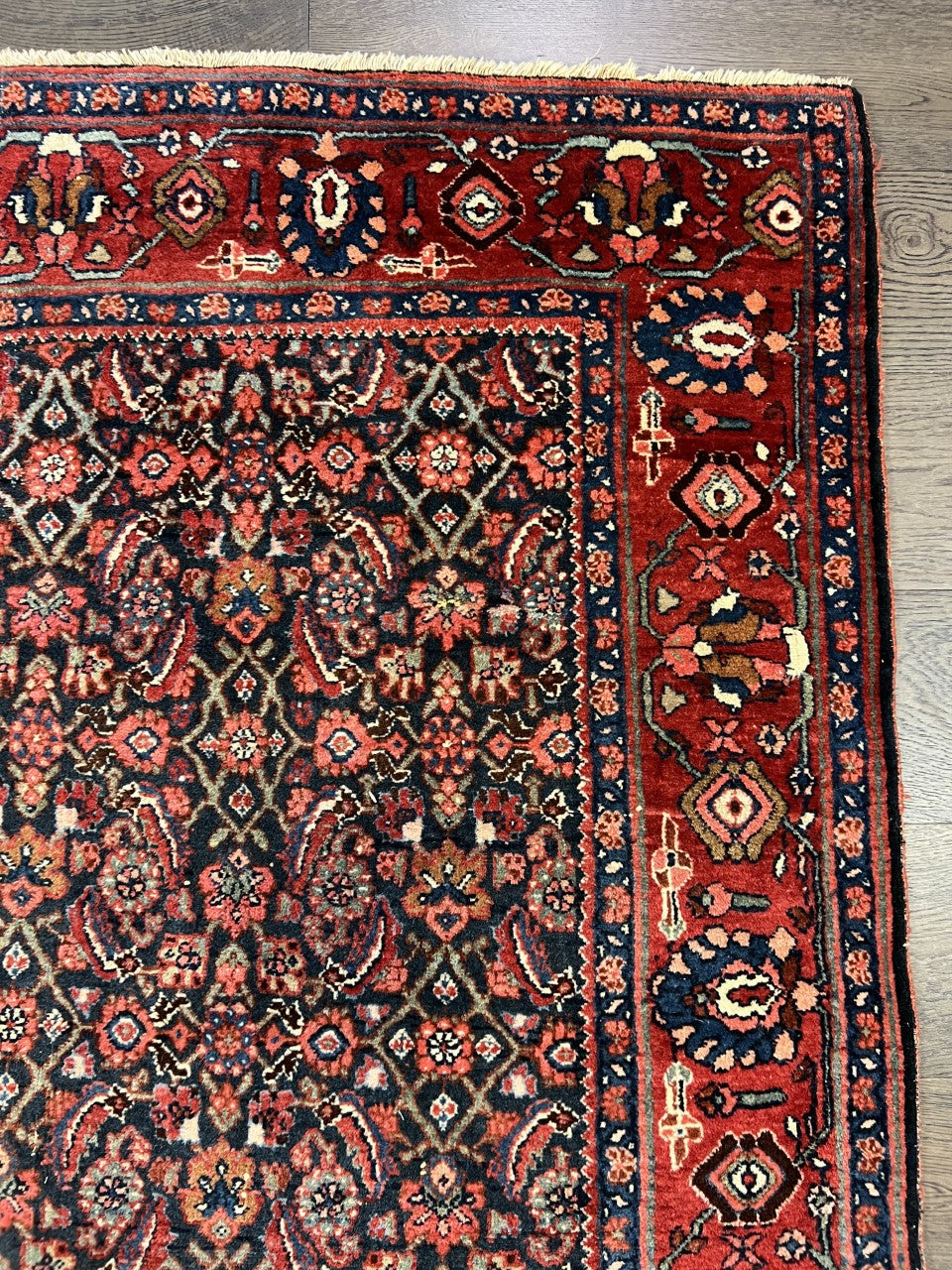 Beautiful old antique decorative Bijar rug - Hakiemie Rug Gallery